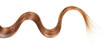 © laboko - Lock wavy brown hair isolated on white background.