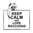 Funny and touching raccoon lies on banner keep calm and love raccoons hand drawn engrave sketch vector illustration