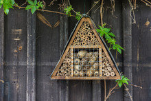 Insect Shelter In Garden, On An Old Wooden Wall