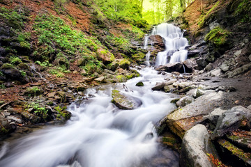 Wall Mural - waterfall in rocks among trees