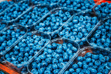 Fresh Blue Berries Blueberries Blueberry At Market In Trays, Con