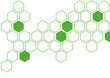 eco green hexagon white background wall pattern