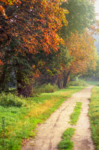Autumn Forest Road Nature Background In Soft Focus Stock Photo Adobe Stock