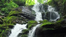 Waterfall In Green Wood