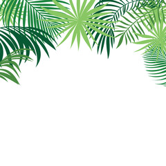 Wall Mural - tropical palm leaves banner