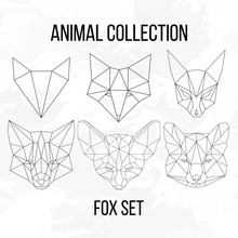 Set Of Geometric Fox Head Isolated On White Background Vintage Vector Design Element Illustration