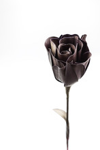 Black Rose From Palm Leaf On White Background