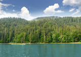 Fototapeta Przestrzenne - Mountain lake in the woods