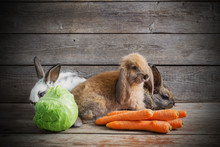 Funny Rabbits With Vegetables On Wooden Background