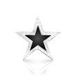 © Artem_Graf - Silver star with diamonds on white background. Vector Illustration