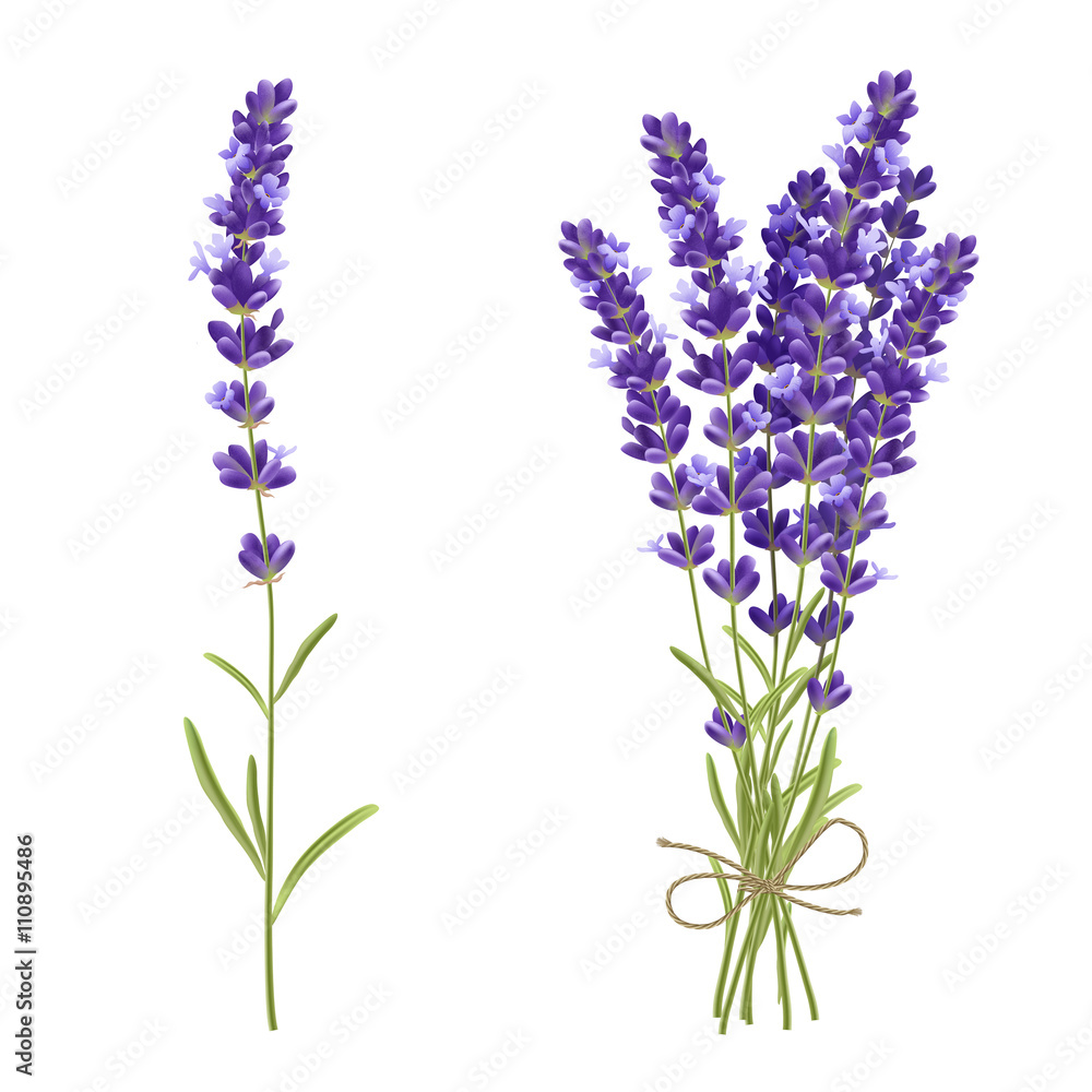  Lavender Cut Flowers Realistic Image  - obrazy, fototapety, plakaty 