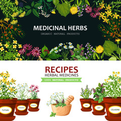 Canvas Print - Medicinal Herbs Banners 