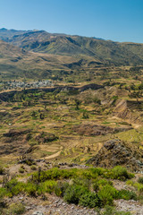 Canyon Colca, one of the deepest in the world, Peru