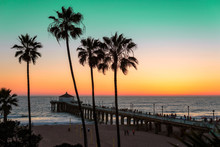 Palm Trees And Pier At Sunset On Los Angeles Beach. Vintage Processed. Fashion Travel And Tropical Beach Concept.