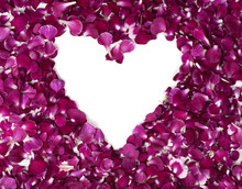 Heart Shape Purple Petals