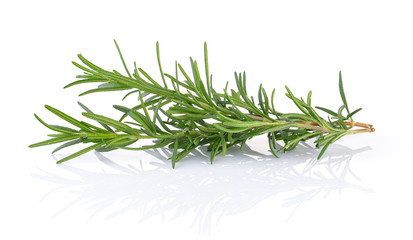 rosemary isolated on white background