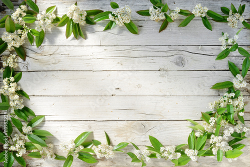 Cornice Fiori Bianchi Stock Photo Adobe Stock