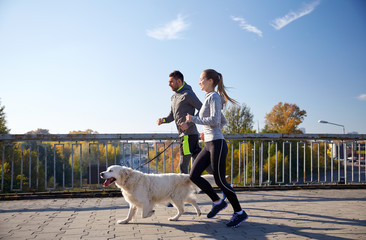 Poster - happy couple with dog running outdoors