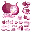 Red Onion Isolated Vector