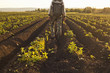 © Connect Images - Backpacker on vegetable farm, Sarsy village, Sverdlovsk region, Russia