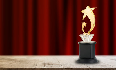 trophy awards after successful winner