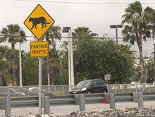 Panther Crossing Warning Sign Along A Roadway, Naples, Florida, USA