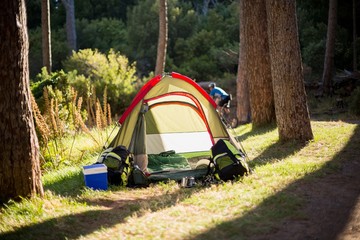 image of a camp site