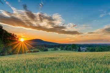 a perfect spring day ends as the sun sets and sprays warm golden light over a beautiful farm with fi