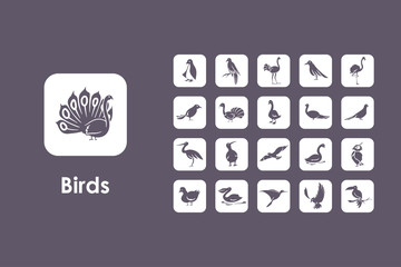 Sticker - Set of birds simple icons