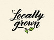 Locally grown hand drawn brush lettering