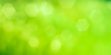 Green Abstract Background With Bokeh Hexagonal Shape