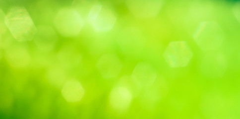 Wall Mural - green abstract background with bokeh hexagonal shape