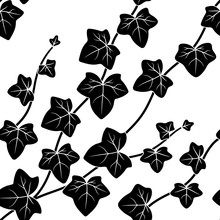 Vector Illustration, Seamless Pattern, Decorative Black And White Ivy Branches With Leaves