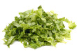 chopped lettuce leaves on a white background