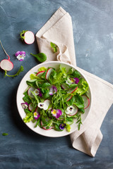 Sticker - Spring salad with radishes, edible flower and sauce