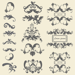 Set monograms, floral ornaments baroque style