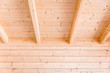 Holzdecke, Holzkonstruktion Innenausbau