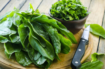 fresh leaves of sorrel