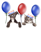 Kitten And Puppy American Voters