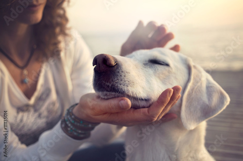 Photo owner caressing gently her dog