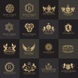 Luxury royal crest logo collection design for hotel and fashion brand identity