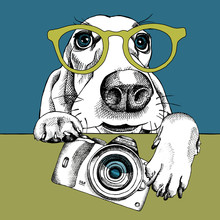 The Poster With A Portrait Of The Dog Basset Hound In The Glasses And With The Camera. Vector Illustration.