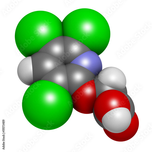 Fotografia, Obraz Triclopyr herbicide (broadleaf weed killer) molecule.