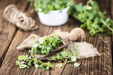 Canvas Print - Fresh Oregano on wooden background