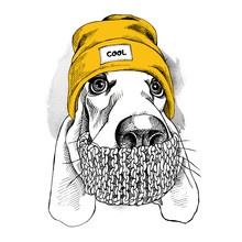 Portrait Of Basset Hound Dog In A Hipster Hat And With Scarf. Vector Illustration.