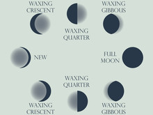 Moon Phases. The Whole Cycle From New Moon To Full. Vector Illustration.