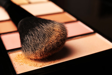 Wall Mural - Makeup brush with blusher closeup