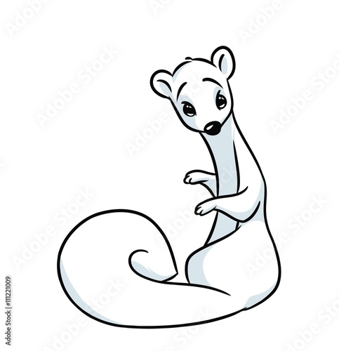 Fotomural White ermine cartoon illustration isolated image animal character