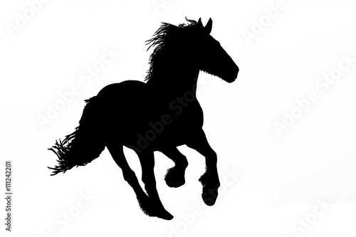 Irish Tinker Kaufen Sie Diese Illustration Und Finden Sie Ahnliche Illustrationen Auf Adobe Stock Adobe Stock