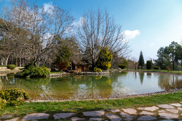 Sticker - Small Lake in a Park